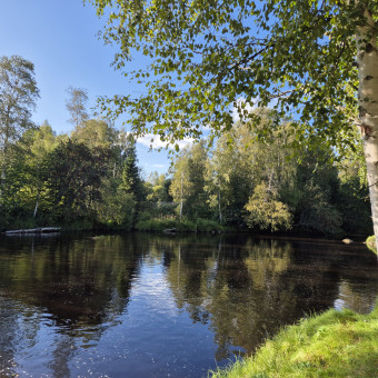 företag till salu