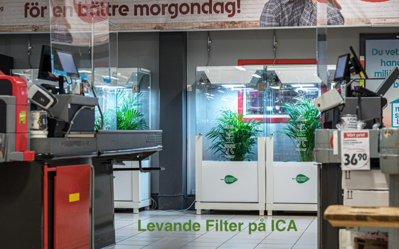 Levande Filter ™ ett företag och varumärke inom Luftrengöring