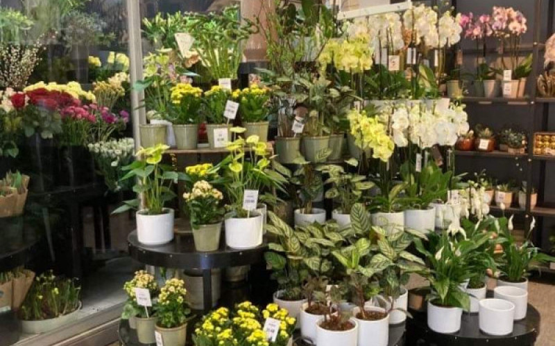 Väl inarbetad Blomsteraffär i centrala Eskilstuna