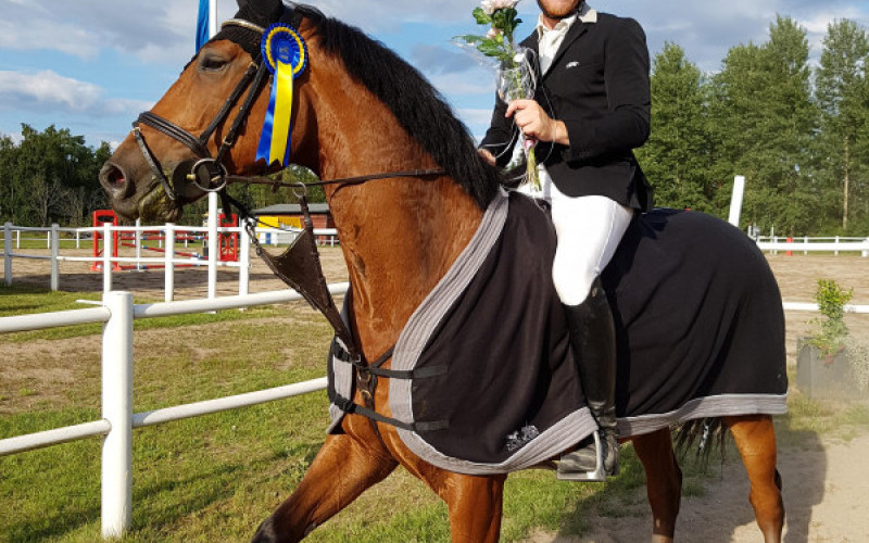 E-handelsbutik för häst-och ridsport med brett sortiment