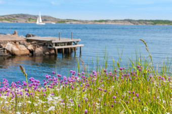 företag till salu