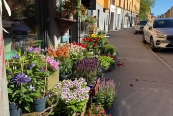 företag till salu