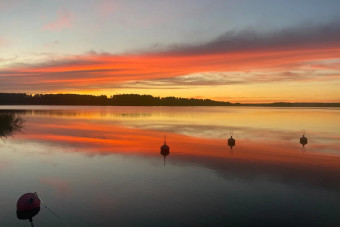 företag till salu