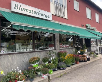 företag till salu