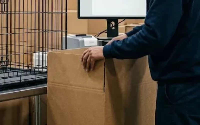 Photo de Etablerad e-handel inom hundburar med unik sökfunktion, dropship-driven och flyttbar - E-commerce